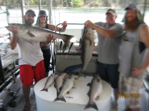 Nice Striped Bass